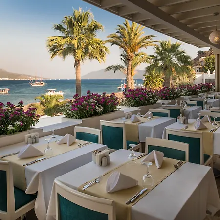 Prive - Adult Only Resort